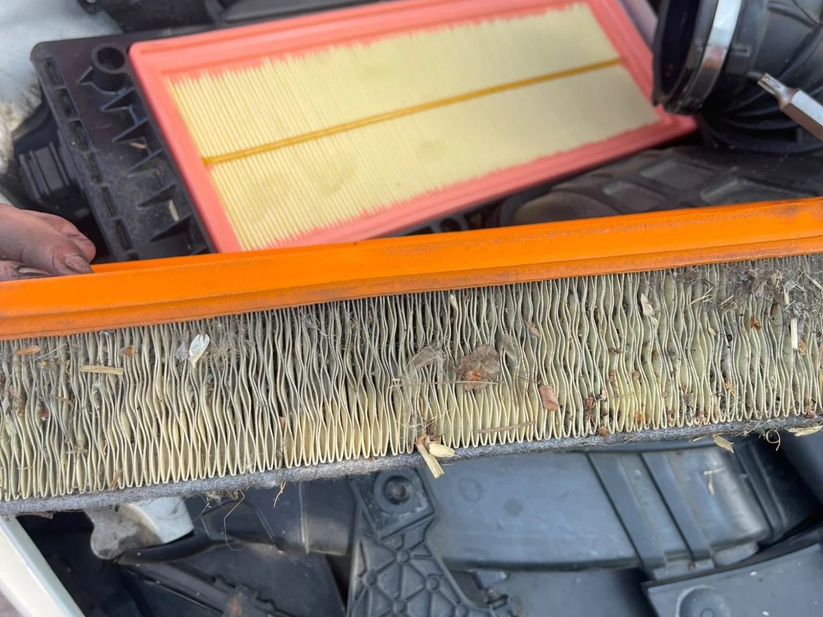 A clean new air filter resting above the old one, which is grey and matted with debris