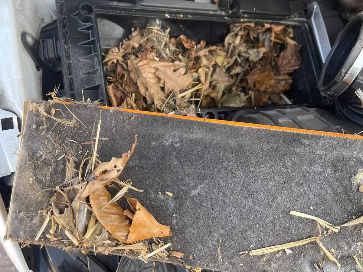 The air filter housing opened to show it packed with dead leaves, and the old filter lying beside it covered in straw