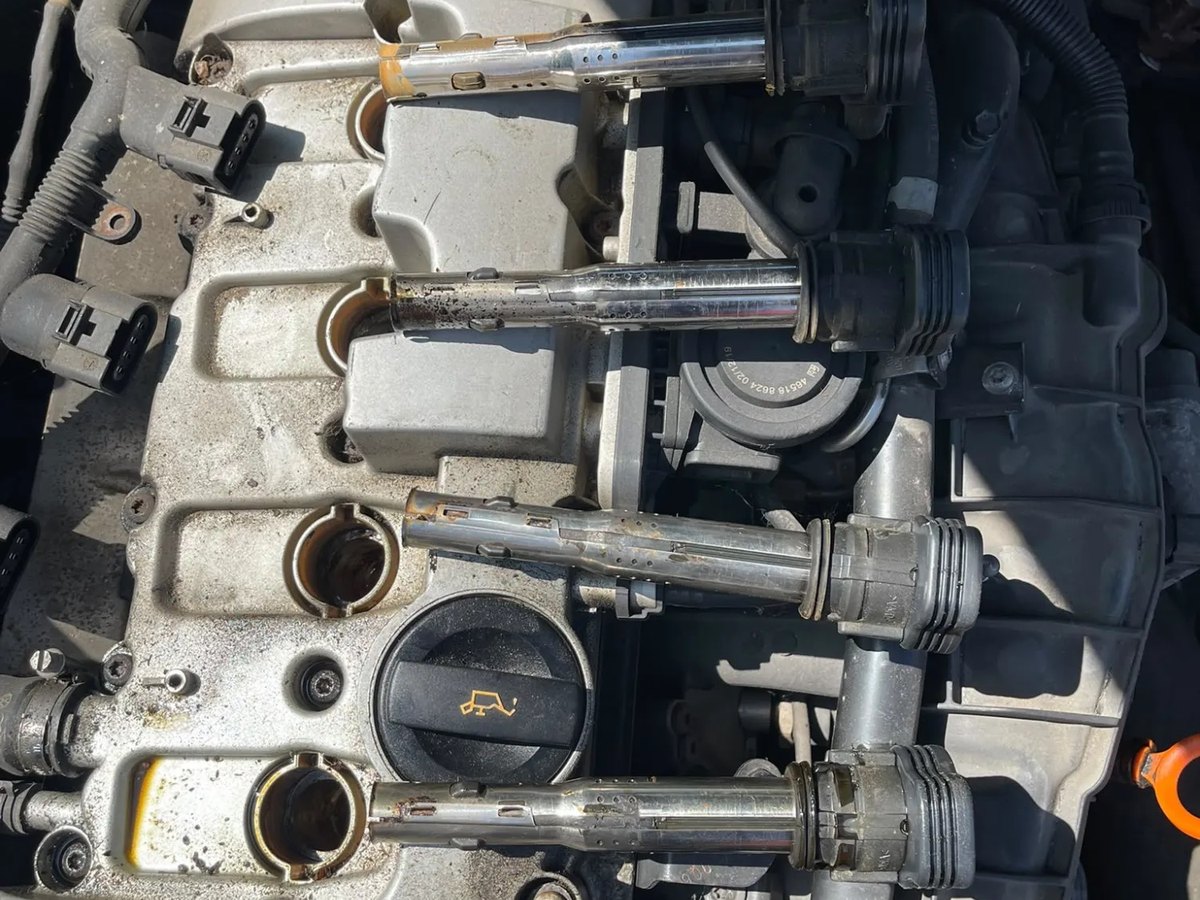 The top of the engine with all four ignition coils pulled out and laid across the cam cover, the plug wells open beneath them