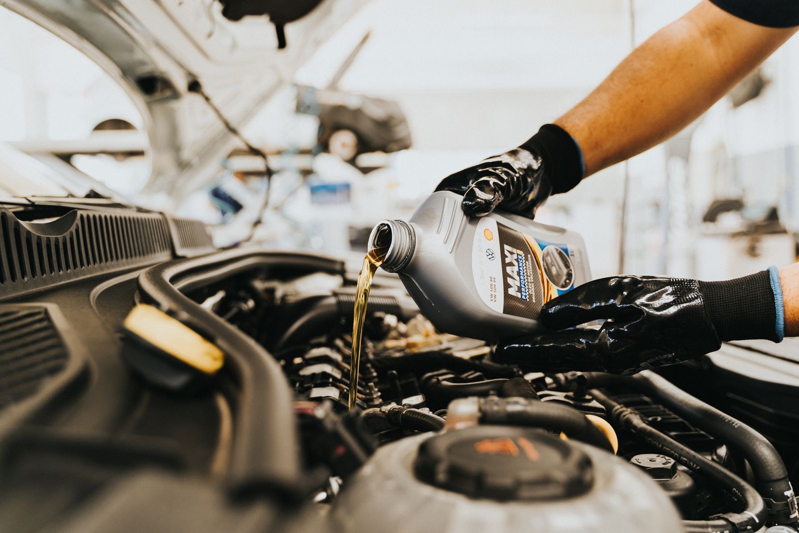 Oil & Filter Change